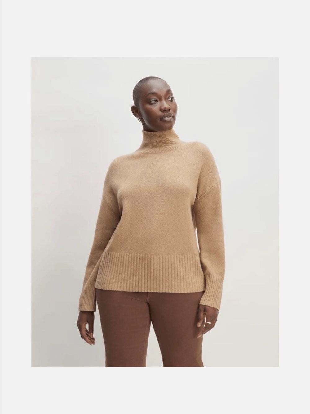 Everlane Women's The Cashmere Oversized Turtleneck Sweater XXS